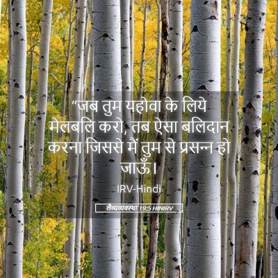 Picture 05 - लैव्यव्यवस्था 19:5 HINIRV - “जब तुम यहोवा के - Bible Verse Picture