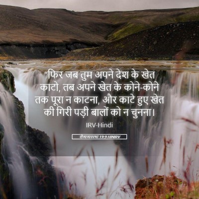 Picture 05 - लैव्यव्यवस्था 19:9 HINIRV - “फिर जब तुम अपने - Bible Verse Picture