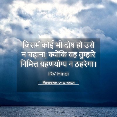 Picture 05 - लैव्यव्यवस्था 22:20 HINIRV - जिसमें कोई भी दोष - Bible Verse Picture