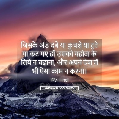 Picture 05 - लैव्यव्यवस्था 22:24 HINIRV - जिसके अंड दबे या - Bible Verse Picture