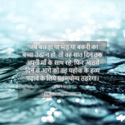 Picture 05 - लैव्यव्यवस्था 22:27 HINIRV - “जब बछड़ा या भेड़ - Bible Verse Picture