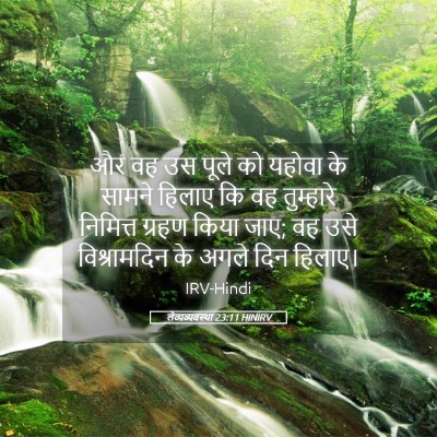 Picture 05 - लैव्यव्यवस्था 23:11 HINIRV - और वह उस पूले को - Bible Verse Picture