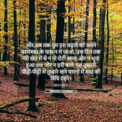 Picture 05 - लैव्यव्यवस्था 23:14 HINIRV - और जब तक तुम इस - Bible Verse Picture