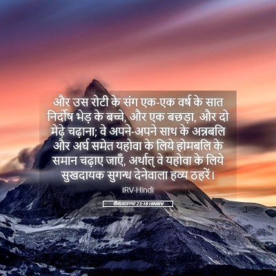 Picture 05 - लैव्यव्यवस्था 23:18 HINIRV - और उस रोटी के संग - Bible Verse Picture
