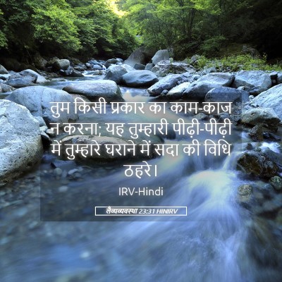 Picture 05 - लैव्यव्यवस्था 23:31 HINIRV - तुम किसी प्रकार का - Bible Verse Picture