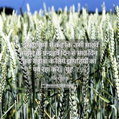 Picture 05 - लैव्यव्यवस्था 23:34 HINIRV - “इस्राएलियों से - Bible Verse Picture