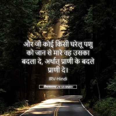 Picture 05 - लैव्यव्यवस्था 24:18 HINIRV - और जो कोई किसी - Bible Verse Picture