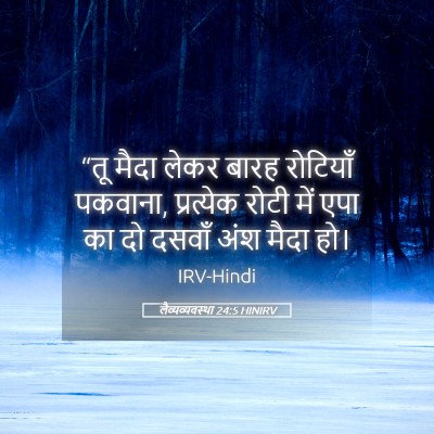 Picture 05 - लैव्यव्यवस्था 24:5 HINIRV - “तू मैदा लेकर बारह - Bible Verse Picture