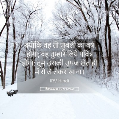 Picture 05 - लैव्यव्यवस्था 25:12 HINIRV - क्योंकि वह तो - Bible Verse Picture