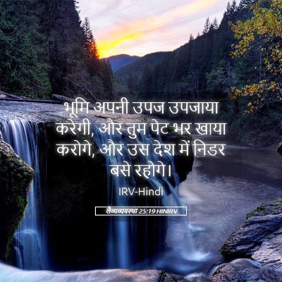 Picture 05 - लैव्यव्यवस्था 25:19 HINIRV - भूमि अपनी उपज - Bible Verse Picture