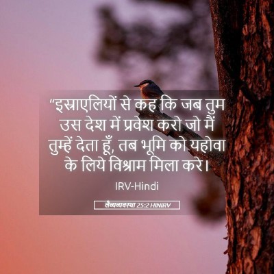 Picture 05 - लैव्यव्यवस्था 25:2 HINIRV - “इस्राएलियों से - Bible Verse Picture