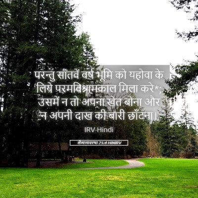 Picture 05 - लैव्यव्यवस्था 25:4 HINIRV - परन्तु सातवें - Bible Verse Picture