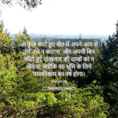 Picture 05 - लैव्यव्यवस्था 25:5 HINIRV - जो कुछ काटे हुए खेत - Bible Verse Picture