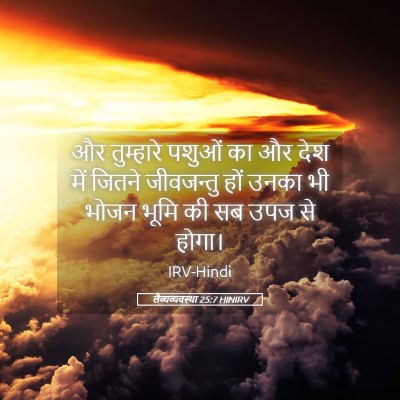 Picture 05 - लैव्यव्यवस्था 25:7 HINIRV - और तुम्हारे पशुओं - Bible Verse Picture