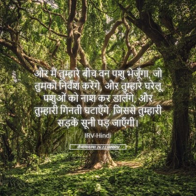 Picture 05 - लैव्यव्यवस्था 26:22 HINIRV - और मैं तुम्हारे - Bible Verse Picture