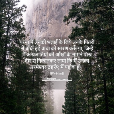 Picture 05 - लैव्यव्यवस्था 26:45 HINIRV - परन्तु मैं उनकी - Bible Verse Picture