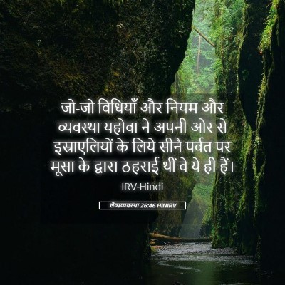 Picture 05 - लैव्यव्यवस्था 26:46 HINIRV - जो-जो विधियाँ और - Bible Verse Picture