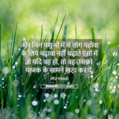 Picture 05 - लैव्यव्यवस्था 27:11 HINIRV - और जिन पशुओं में से - Bible Verse Picture