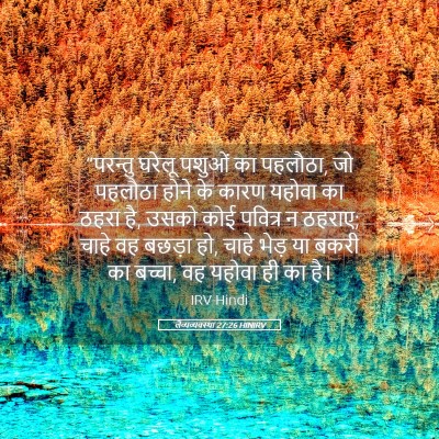 Picture 05 - लैव्यव्यवस्था 27:26 HINIRV - “परन्तु घरेलू - Bible Verse Picture