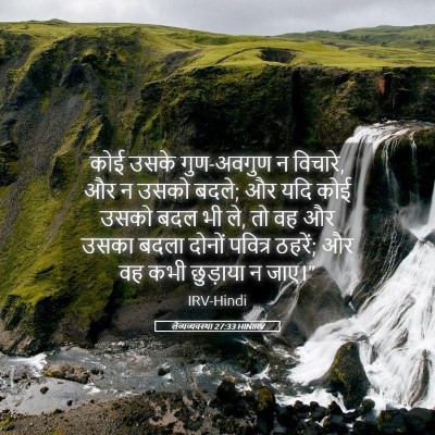 Picture 05 - लैव्यव्यवस्था 27:33 HINIRV - कोई उसके गुण-अवगुण - Bible Verse Picture