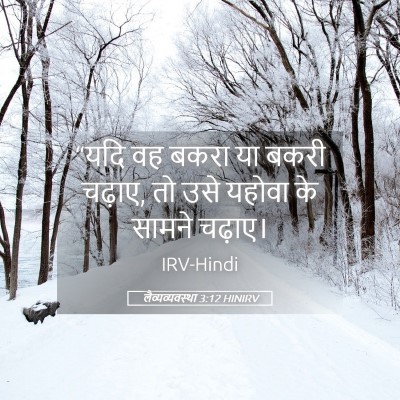 Picture 05 - लैव्यव्यवस्था 3:12 HINIRV - “यदि वह बकरा या - Bible Verse Picture