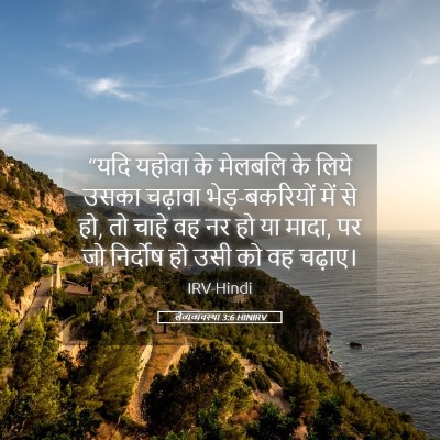 Picture 05 - लैव्यव्यवस्था 3:6 HINIRV - “यदि यहोवा के - Bible Verse Picture
