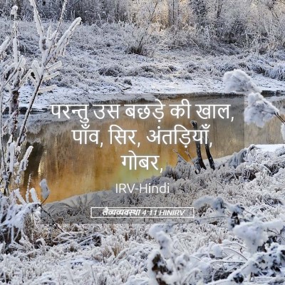 Picture 05 - लैव्यव्यवस्था 4:11 HINIRV - परन्तु उस बछड़े की - Bible Verse Picture