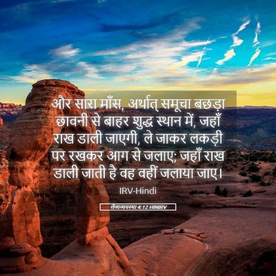 Picture 05 - लैव्यव्यवस्था 4:12 HINIRV - और सारा माँस, - Bible Verse Picture