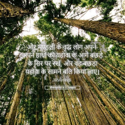 Picture 05 - लैव्यव्यवस्था 4:15 HINIRV - और मण्डली के वृद्ध - Bible Verse Picture