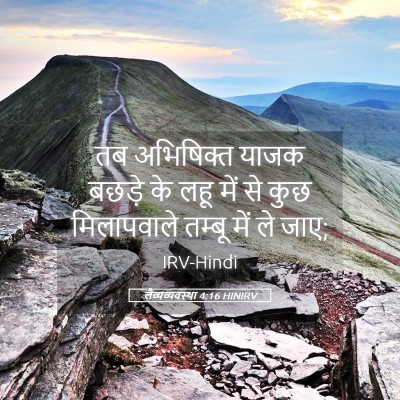 Picture 05 - लैव्यव्यवस्था 4:16 HINIRV - तब अभिषिक्त याजक - Bible Verse Picture