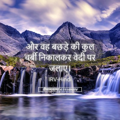 Picture 05 - लैव्यव्यवस्था 4:19 HINIRV - और वह बछड़े की कुल - Bible Verse Picture