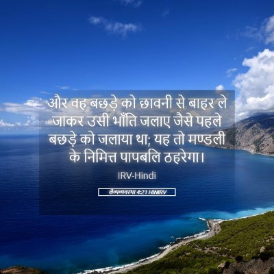 Picture 05 - लैव्यव्यवस्था 4:21 HINIRV - और वह बछड़े को - Bible Verse Picture