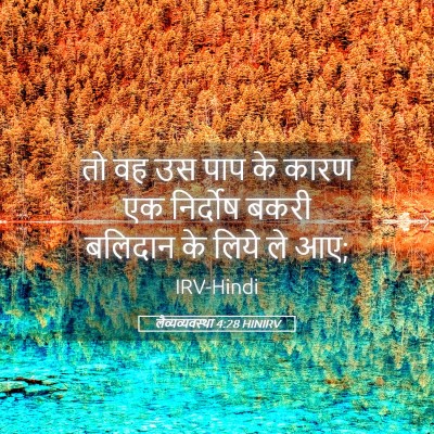 Picture 05 - लैव्यव्यवस्था 4:28 HINIRV - तो वह उस पाप के - Bible Verse Picture