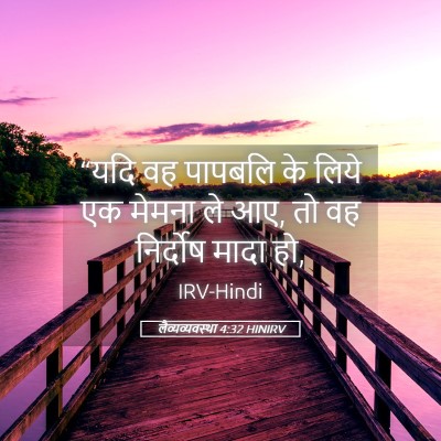 Picture 05 - लैव्यव्यवस्था 4:32 HINIRV - “यदि वह पापबलि के - Bible Verse Picture