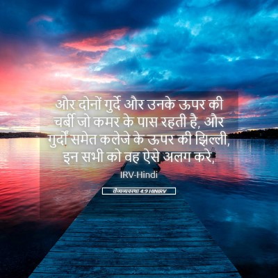 Picture 05 - लैव्यव्यवस्था 4:9 HINIRV - और दोनों गुर्दे और - Bible Verse Picture