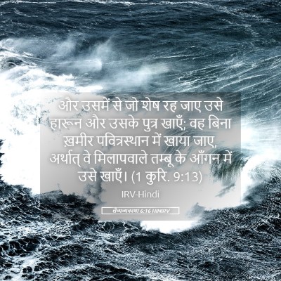 Picture 05 - लैव्यव्यवस्था 6:16 HINIRV - और उसमें से जो शेष - Bible Verse Picture