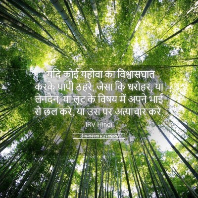 Picture 05 - लैव्यव्यवस्था 6:2 HINIRV - “यदि कोई यहोवा का - Bible Verse Picture