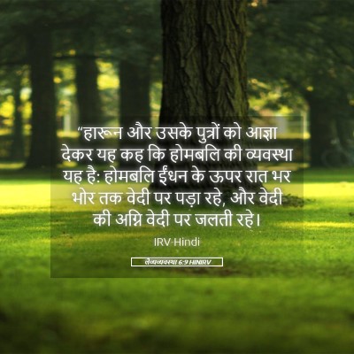Picture 05 - लैव्यव्यवस्था 6:9 HINIRV - “हारून और उसके - Bible Verse Picture