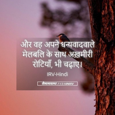 Picture 05 - लैव्यव्यवस्था 7:13 HINIRV - और वह अपने - Bible Verse Picture