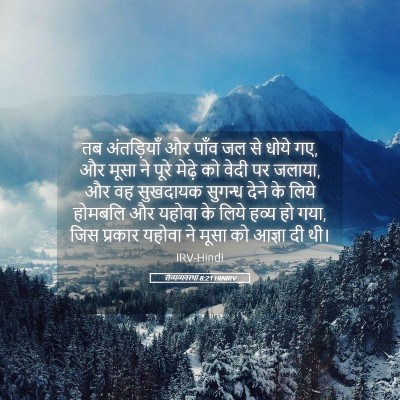 Picture 05 - लैव्यव्यवस्था 8:21 HINIRV - तब अंतड़ियाँ और - Bible Verse Picture