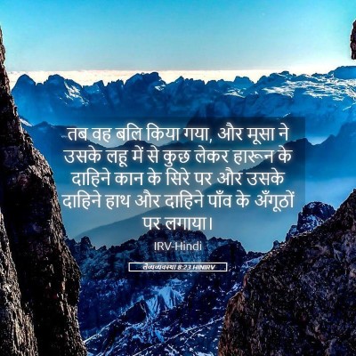 Picture 05 - लैव्यव्यवस्था 8:23 HINIRV - तब वह बलि किया गया, - Bible Verse Picture