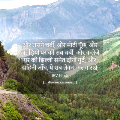Picture 05 - लैव्यव्यवस्था 8:25 HINIRV - और उसने चर्बी, और - Bible Verse Picture