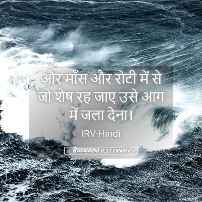 Picture 05 - लैव्यव्यवस्था 8:32 HINIRV - और माँस और रोटी में - Bible Verse Picture