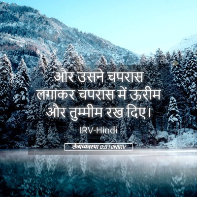 Picture 05 - लैव्यव्यवस्था 8:8 HINIRV - और उसने चपरास - Bible Verse Picture