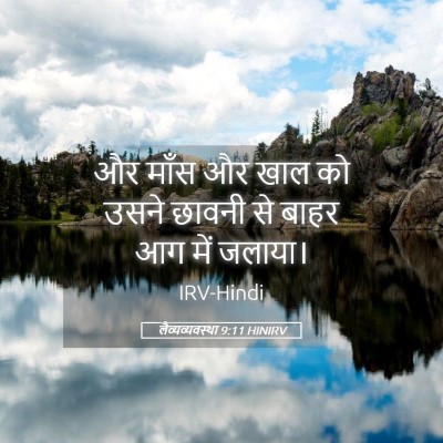 Picture 05 - लैव्यव्यवस्था 9:11 HINIRV - और माँस और खाल को - Bible Verse Picture