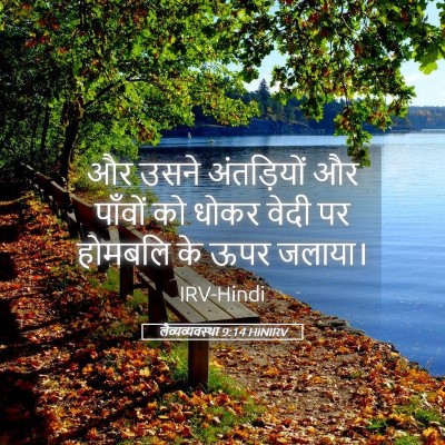 Picture 05 - लैव्यव्यवस्था 9:14 HINIRV - और उसने अंतड़ियों - Bible Verse Picture