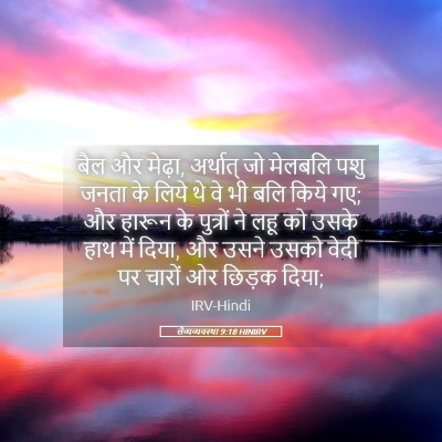 Picture 05 - लैव्यव्यवस्था 9:18 HINIRV - बैल और मेढ़ा, - Bible Verse Picture