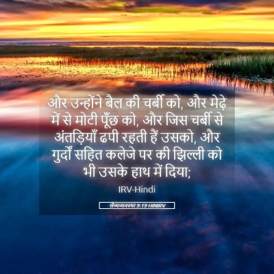 Picture 05 - लैव्यव्यवस्था 9:19 HINIRV - और उन्होंने बैल की - Bible Verse Picture