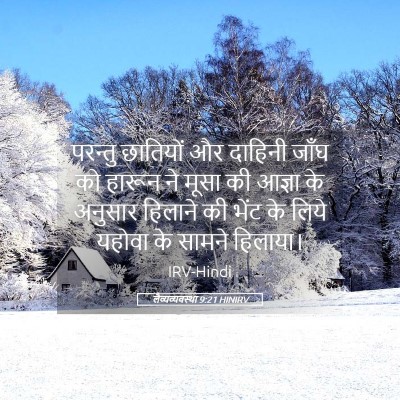 Picture 05 - लैव्यव्यवस्था 9:21 HINIRV - परन्तु छातियों और - Bible Verse Picture