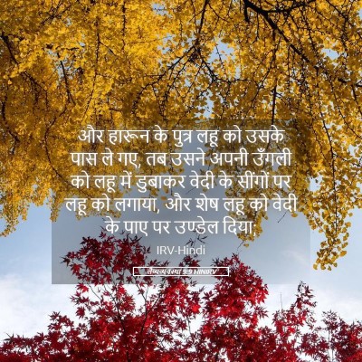 Picture 05 - लैव्यव्यवस्था 9:9 HINIRV - और हारून के पुत्र - Bible Verse Picture